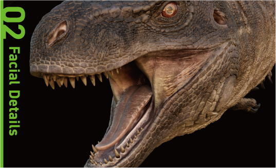 「ドラゴンと少年」のFacial Details