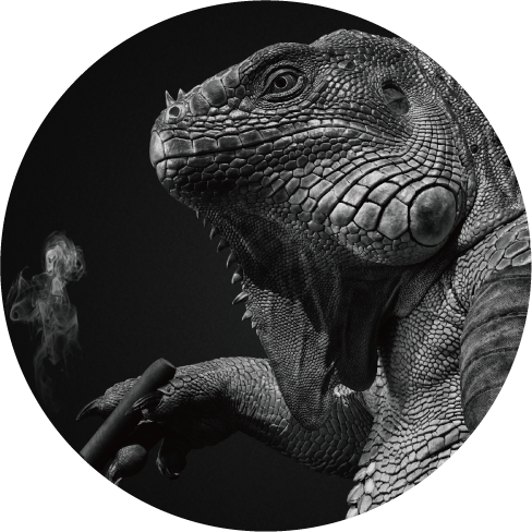 「トカゲ星人」の造形ディテール