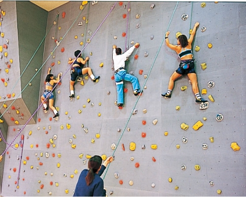 ボルダリング設備